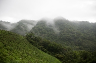 Foggy hill in the Pinglin District